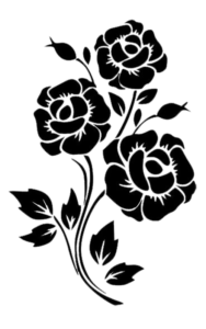 Digital Marketing Expert